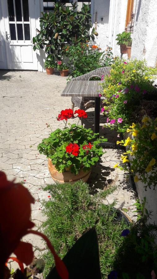 Schrammi'S Ferienwohnung Schwanau Bagian luar foto